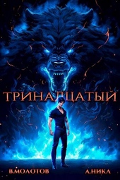 Обложка книги Тринадцатый IV