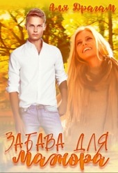 Обложка книги Забава для мажора