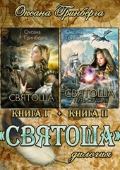 Обложка книги Святоша