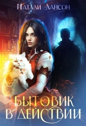 Обложка книги Бытовик в действии (СИ)